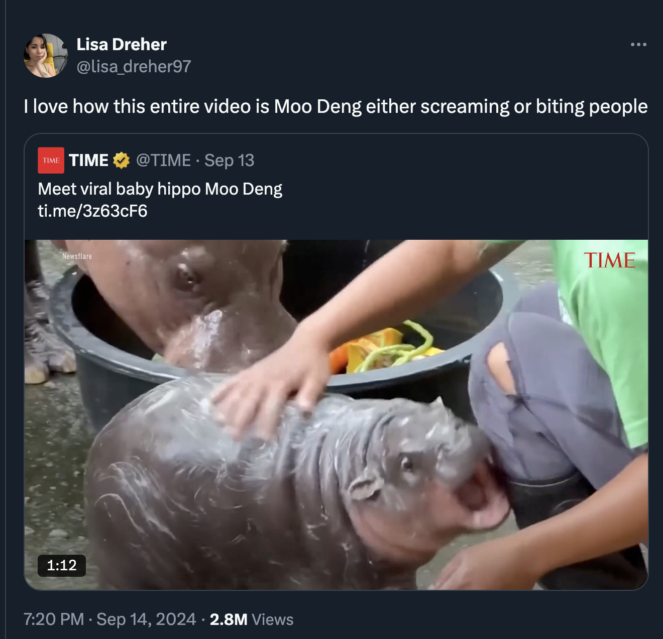 moo deng memes - screenshot - Lisa Dreher I love how this entire video is Moo Deng either screaming or biting people Time Sep 13 Meet viral baby hippo Moo Deng ti.me3z63cF6 2.8M Views Time